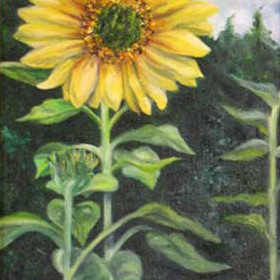 Garden Sunflower Oil on Canvas 11x14