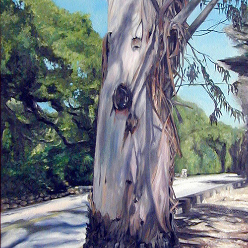 Eucalyptus Under The Canopy  On HWY 192 Montecito, Oil on Linen 18x24