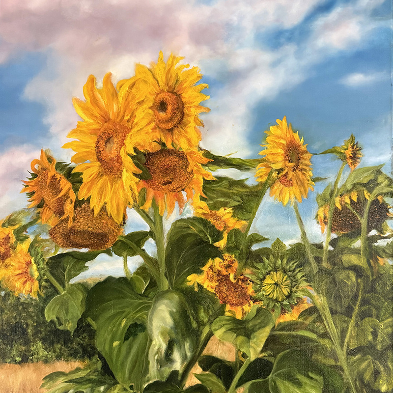 HWY Sunflowers  18x24Oil on Linen